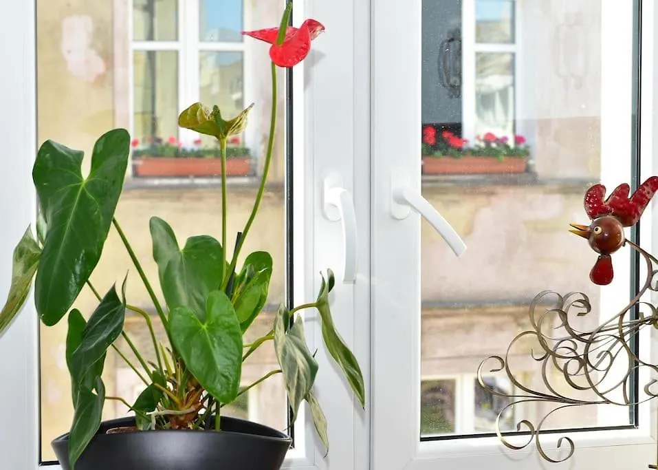 Komfortowe Apartamenty Przy Rynku Klimatyzacja Wroclaw Apartment